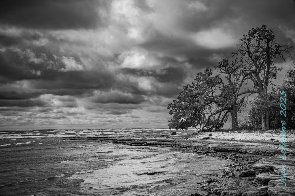 Black and white photo of a beach with cloudy skies, small waves, and some trees.
